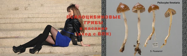 амф Артём