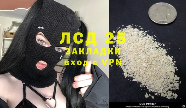 ГАЛЛЮЦИНОГЕННЫЕ ГРИБЫ Гусиноозёрск