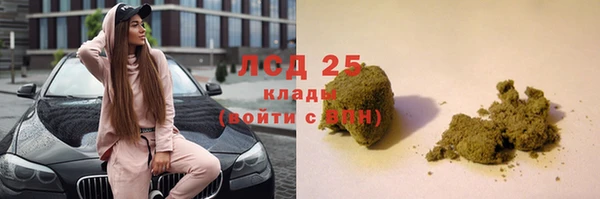 винт Гусев