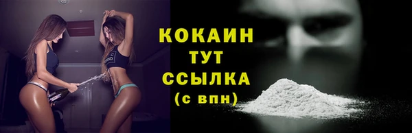 амф Магас