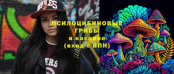 винт Гусев