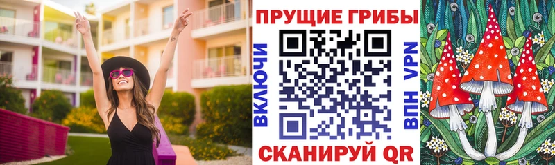 купить наркоту  Десногорск  Псилоцибиновые грибы мицелий 