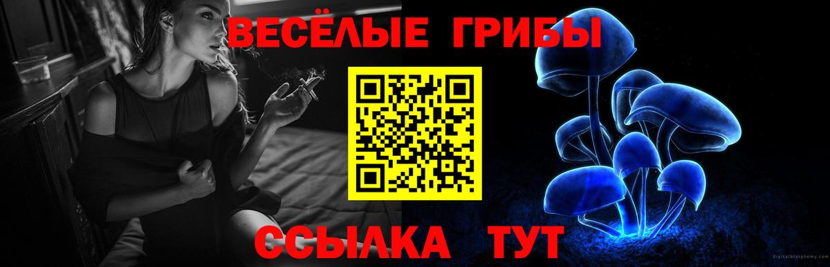 Псилоцибиновые грибы мухоморы  Вход с VPN  Десногорск 